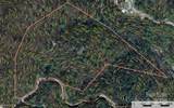 TBD Casey Mountain Road - Photo 16