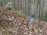 TBD Casey Mountain Road - Photo 10