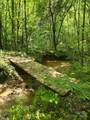 0 Frog Creek Road - Photo 3