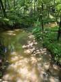 0 Frog Creek Road - Photo 5