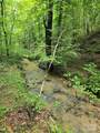 0 Frog Creek Road - Photo 7