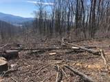 000 Butler Ridge Trail - Photo 4