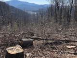 000 Butler Ridge Trail - Photo 5
