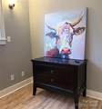 5 Elmore Street - Photo 15