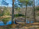TBD Ladys Fern Trail - Photo 28