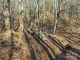 TBD Ladys Fern Trail - Photo 7