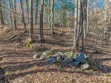 TBD Ladys Fern Trail - Photo 8