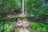 579 Bluemist Way - Photo 19