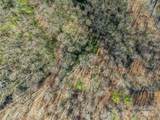 TBD Ladys Fern Trail - Photo 2