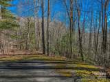 TBD Ladys Fern Trail - Photo 6