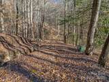 TBD Ladys Fern Trail - Photo 7
