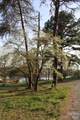 Lot 16 Lake Front Drive - Photo 26