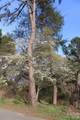 Lot 16 Lake Front Drive - Photo 27