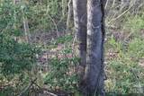 Lot 16 Lake Front Drive - Photo 35