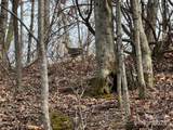 6955 Silver Creek Lane - Photo 4