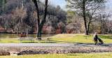 1061 Riverside Drive - Photo 41