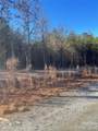 0 Springbrook Lane - Photo 15
