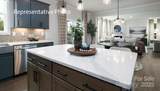 1003 Tundra Swan Drive - Photo 8