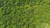 Lot 21 Cat Pen Branch Road - Photo 29