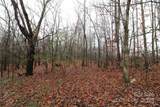 8.94+/-AC Bess Road - Photo 3