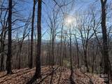 Lot 13 Peter Rabbit Lane - Photo 1
