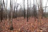 7.10+/-AC Bess Road - Photo 4