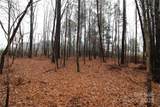 7.10+/-AC Bess Road - Photo 5