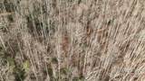 TBD High Acres Road - Photo 4