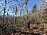Lot 27 Bernies Trail - Photo 2