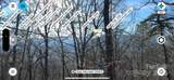 Lot 14 Bernies Trail - Photo 17