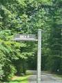 Lot 37 Birch Lane - Photo 3