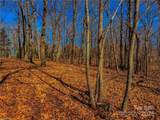 1644 Sierra Trace Road - Photo 12