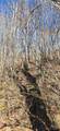 Lot 1 Turtle Rock Lane - Photo 12