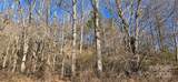 Lot 1 Turtle Rock Lane - Photo 18