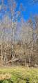 Lot 1 Turtle Rock Lane - Photo 20