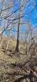Lot 1 Turtle Rock Lane - Photo 21