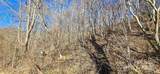 Lot 1 Turtle Rock Lane - Photo 27