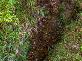10 Warbler Drive - Photo 47