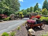 311 Scenic Vista Drive - Photo 17