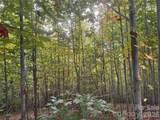 311 Scenic Vista Drive - Photo 4