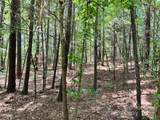 Lot 7 & 8 Sc Hwy 215 South - Photo 11