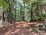 Lot 7 & 8 Sc Hwy 215 South - Photo 18