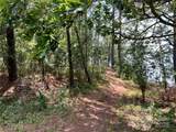 Lot 7 & 8 Sc Hwy 215 South - Photo 19