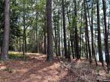 Lot 7 & 8 Sc Hwy 215 South - Photo 20