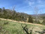 1 Pink Fox Cove Road - Photo 6