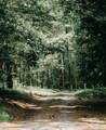 6178 Chimney Bluff Road - Photo 32