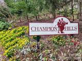 00 Chattooga Run - Photo 23