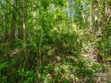 00000 Hamilton Acres Drive - Photo 9