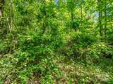 00000 Hamilton Acres Drive - Photo 10