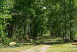 413 Big Hill Drive - Photo 16